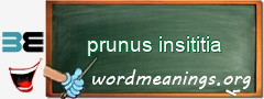 WordMeaning blackboard for prunus insititia